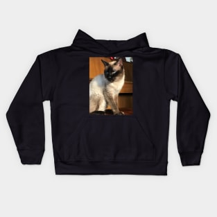 Sentimental Siamese Kids Hoodie